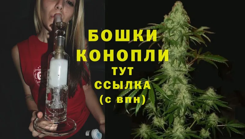 ОМГ ОМГ зеркало  Чехов  Канабис White Widow 